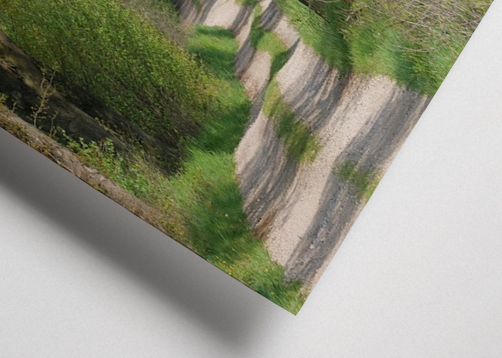 Lesní cesta v Münsterlandu