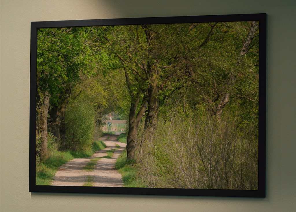 Lesní cesta v Münsterlandu