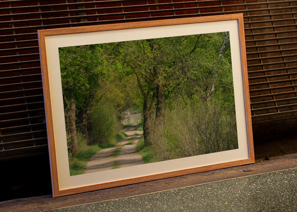 Lesní cesta v Münsterlandu