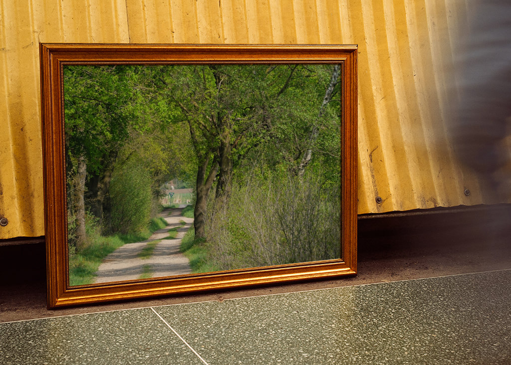 Lesní cesta v Münsterlandu