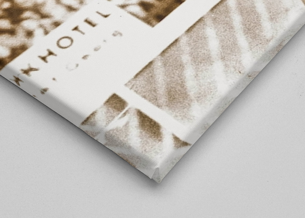 Fünf Haflinger-Stuten