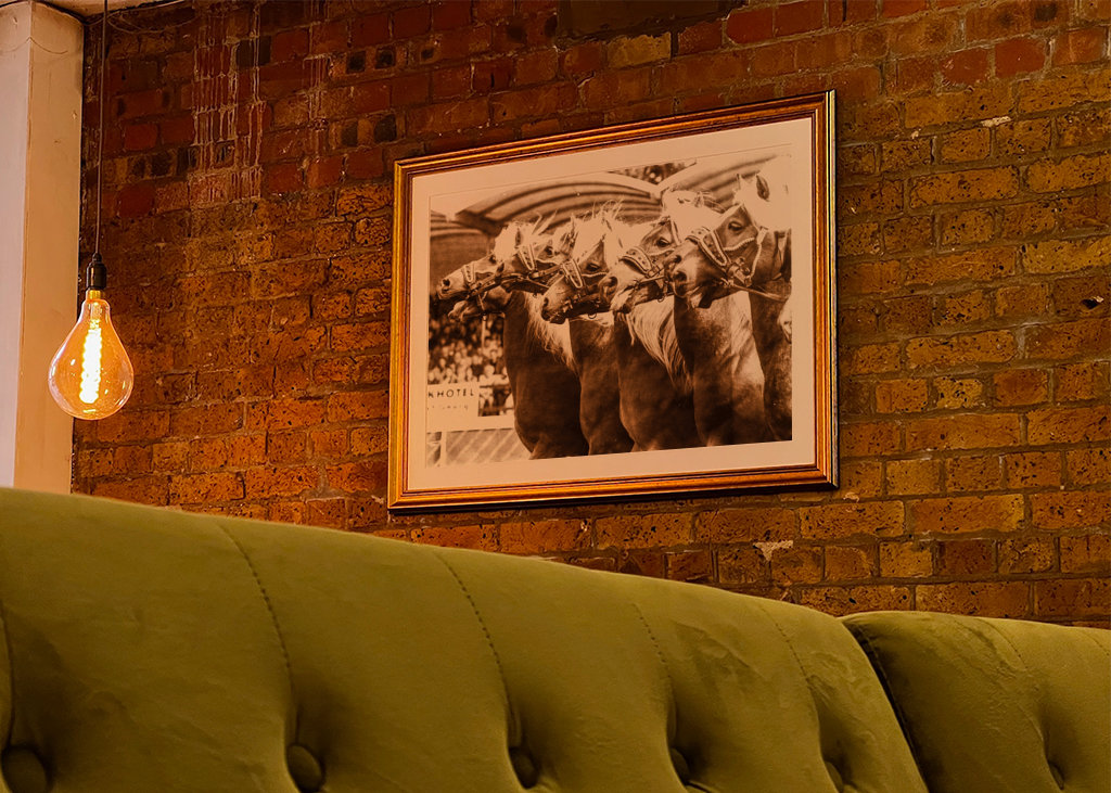 Fünf Haflinger-Stuten