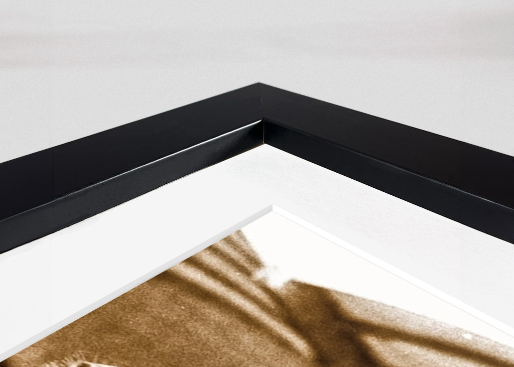 Fünf Haflinger-Stuten