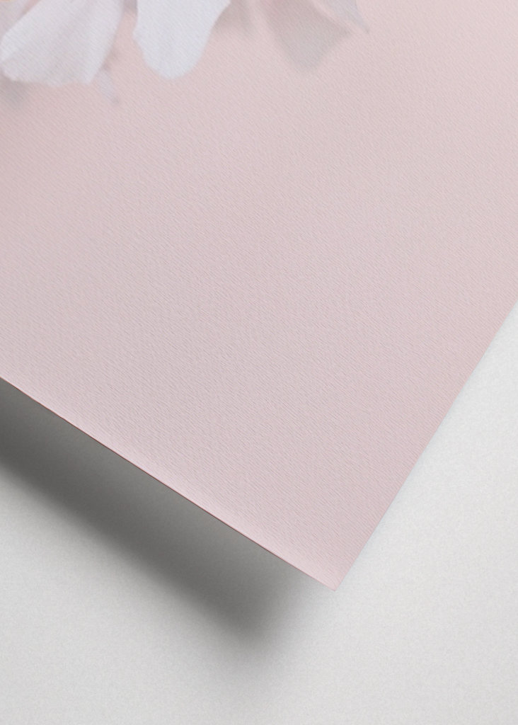 Fleurs en Toscane Italie