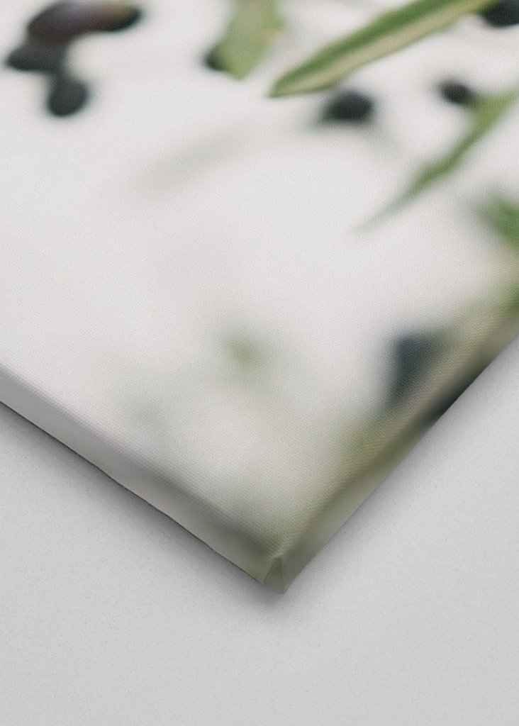 Olivengrene botanisk tryk