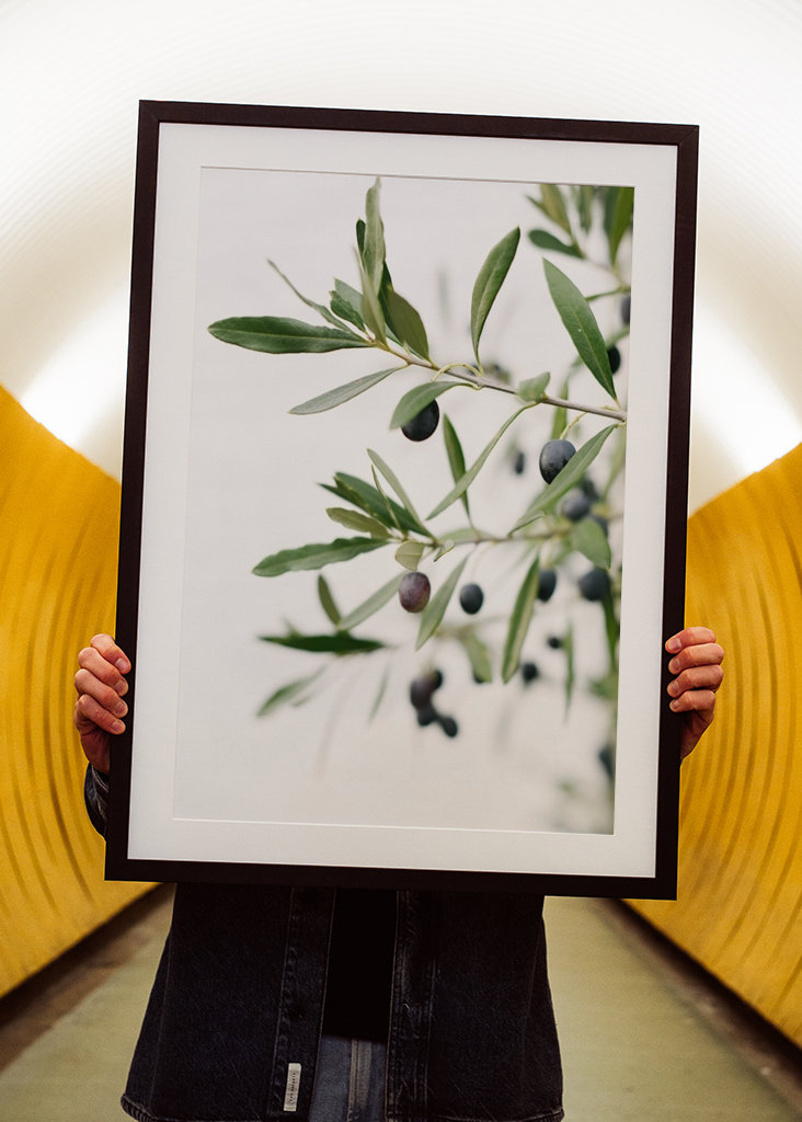 Olivengrene botanisk tryk