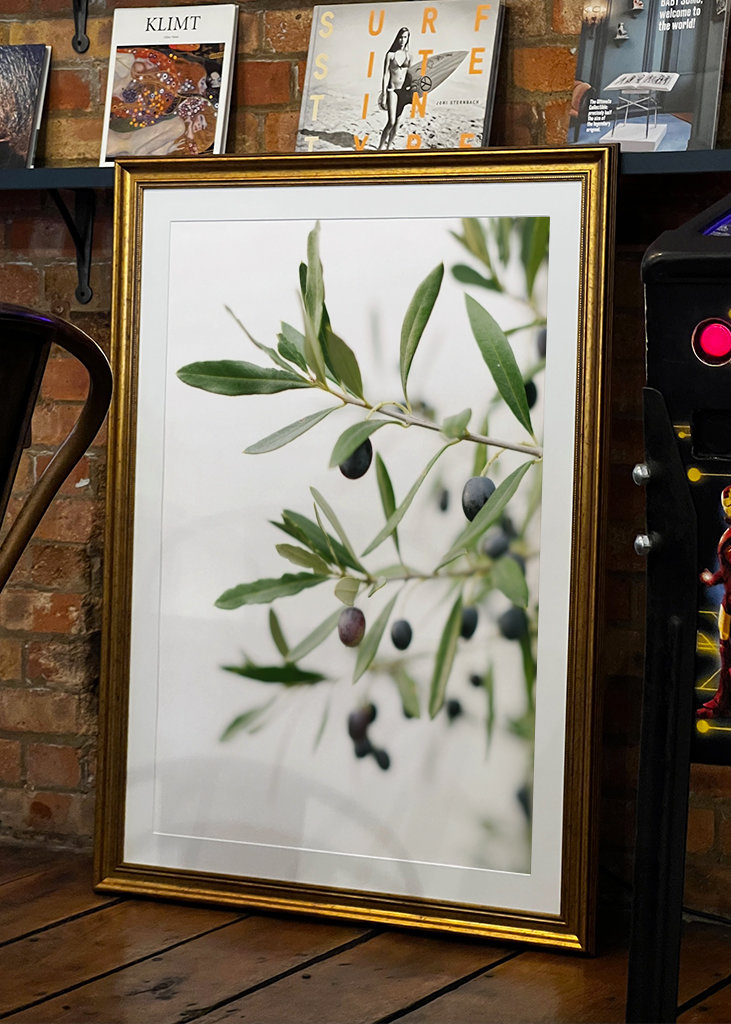 Olivengrene botanisk tryk