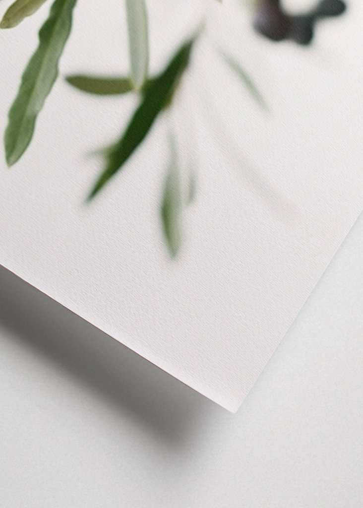 Olivengrene botanisk tryk