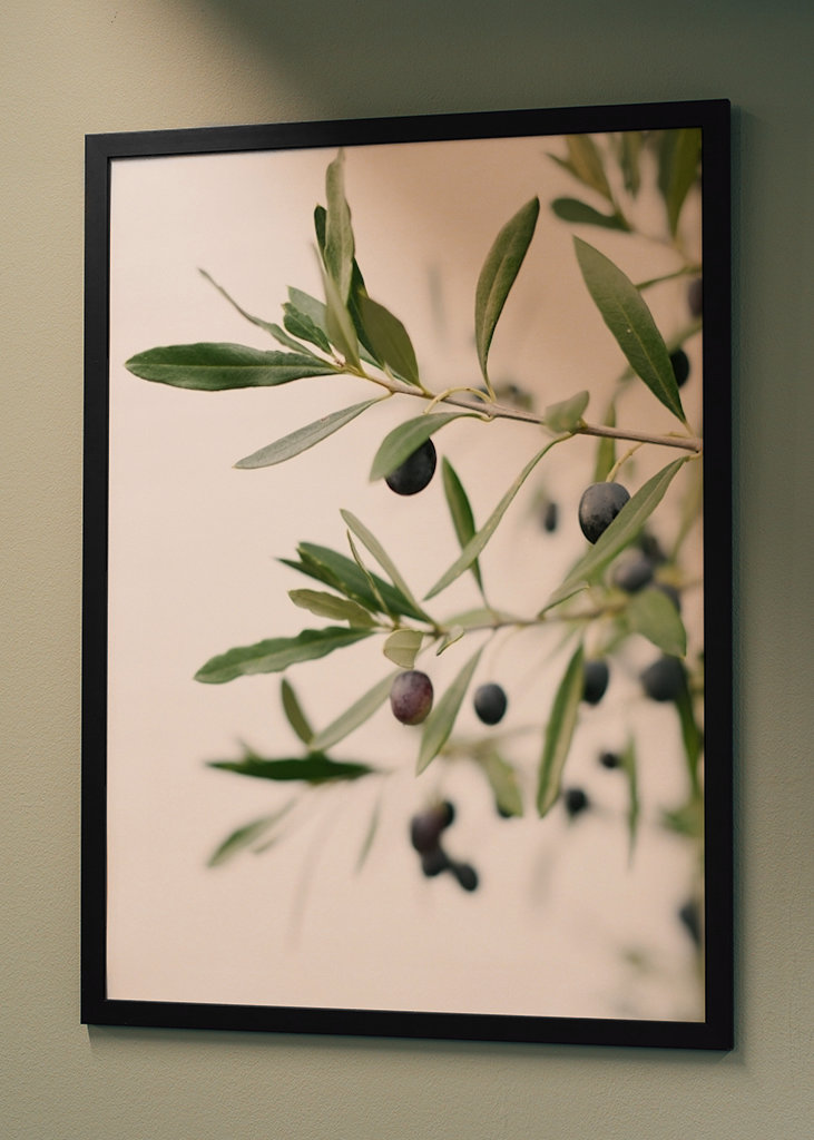 Olivengrene botanisk tryk