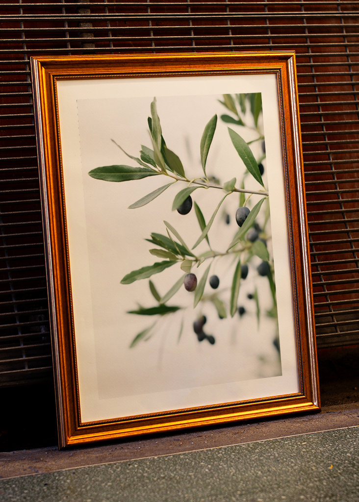 Olivengrene botanisk tryk