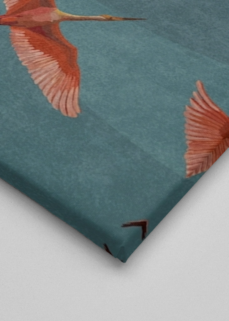 Jeřábi na noční obloze