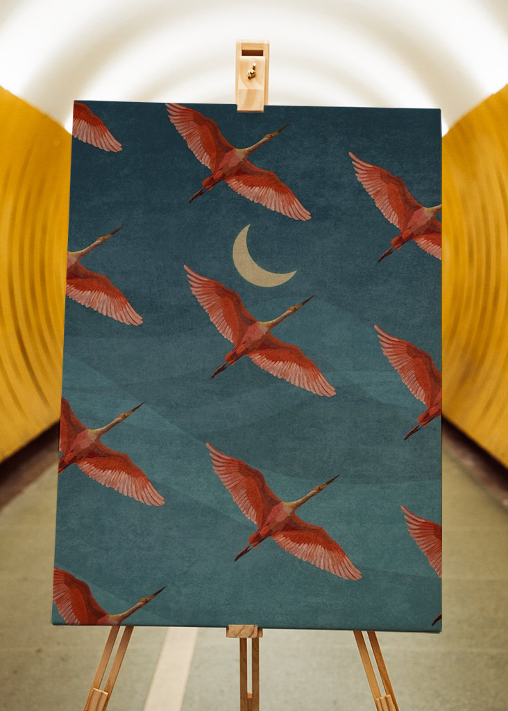 Jeřábi na noční obloze