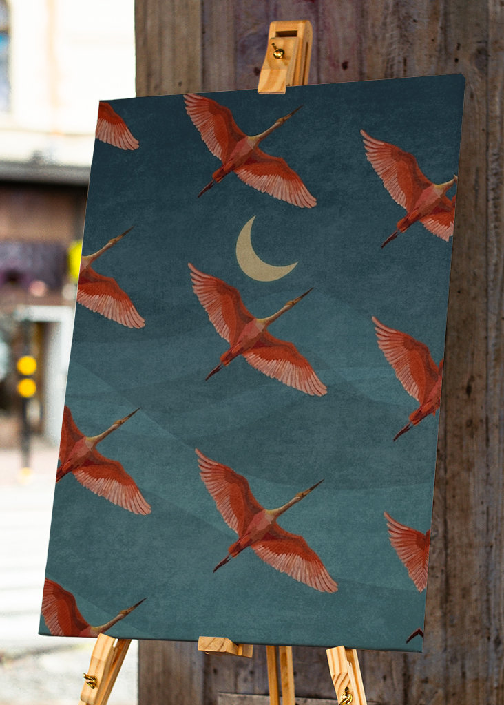 Jeřábi na noční obloze