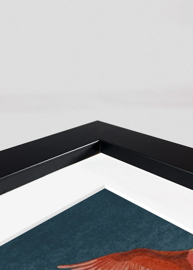 Jeřábi na noční obloze