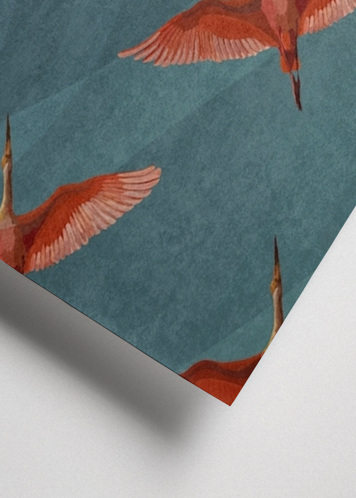 Jeřábi na noční obloze