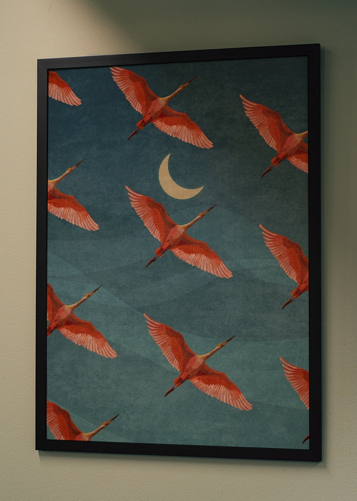 Jeřábi na noční obloze