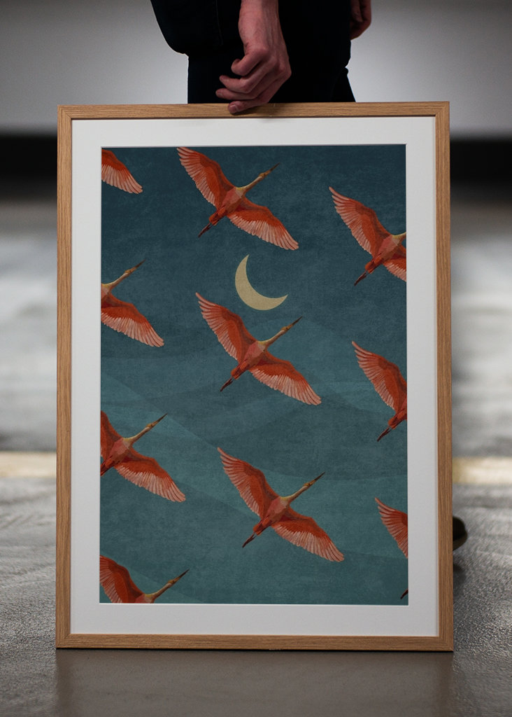 Jeřábi na noční obloze