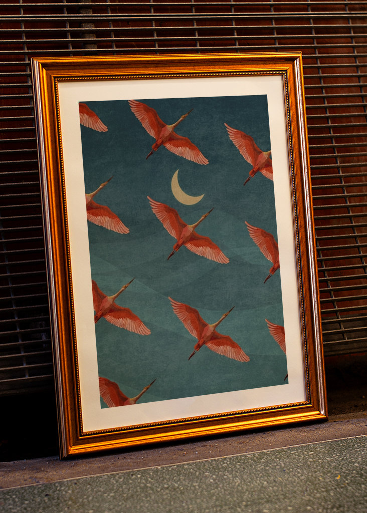 Jeřábi na noční obloze