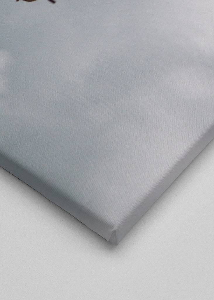 91 Plavba po Safíre