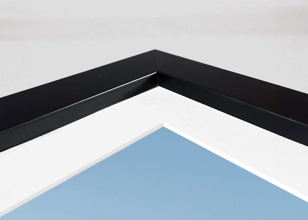 Jeřáb, letící velký pták