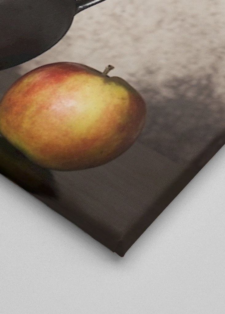 Stillleben mit Hortensie