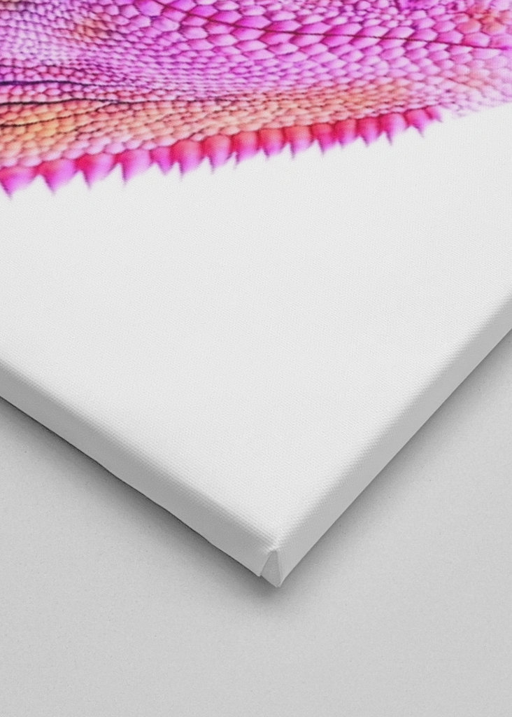 Chamäleon - ser diferente