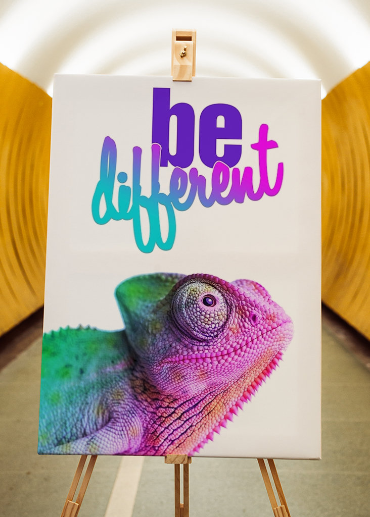 Chamäleon - ser diferente