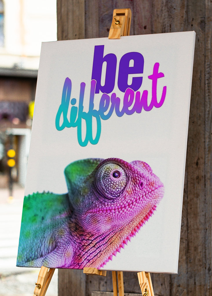 Chamäleon - ser diferente