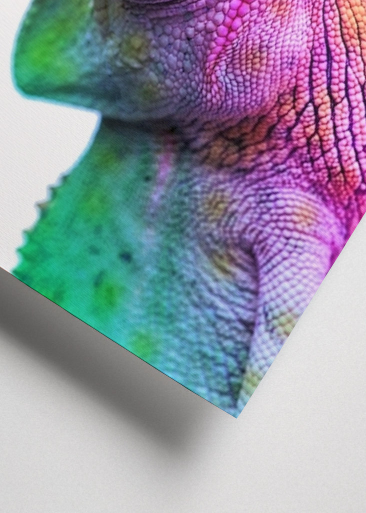 Chamäleon - ser diferente