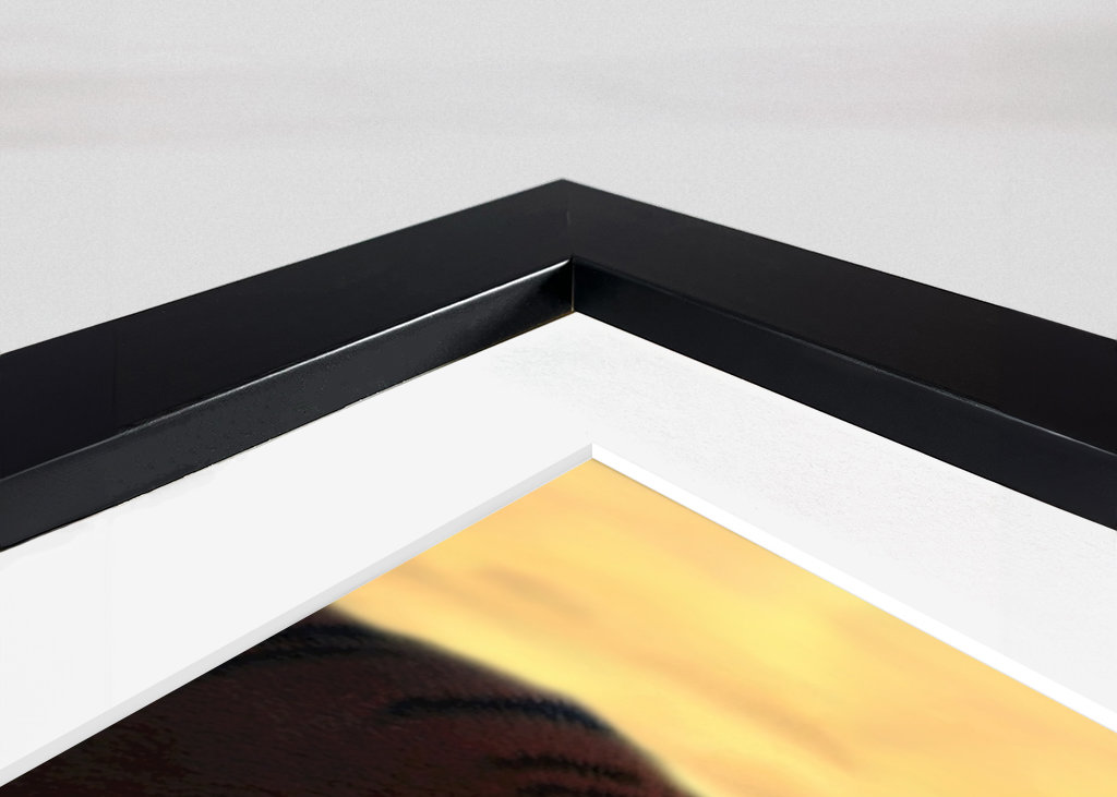 Malý vysněný BIG - Tygr