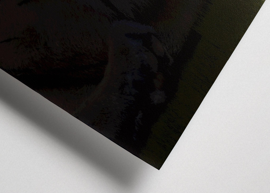 Malý vysněný BIG - Tygr