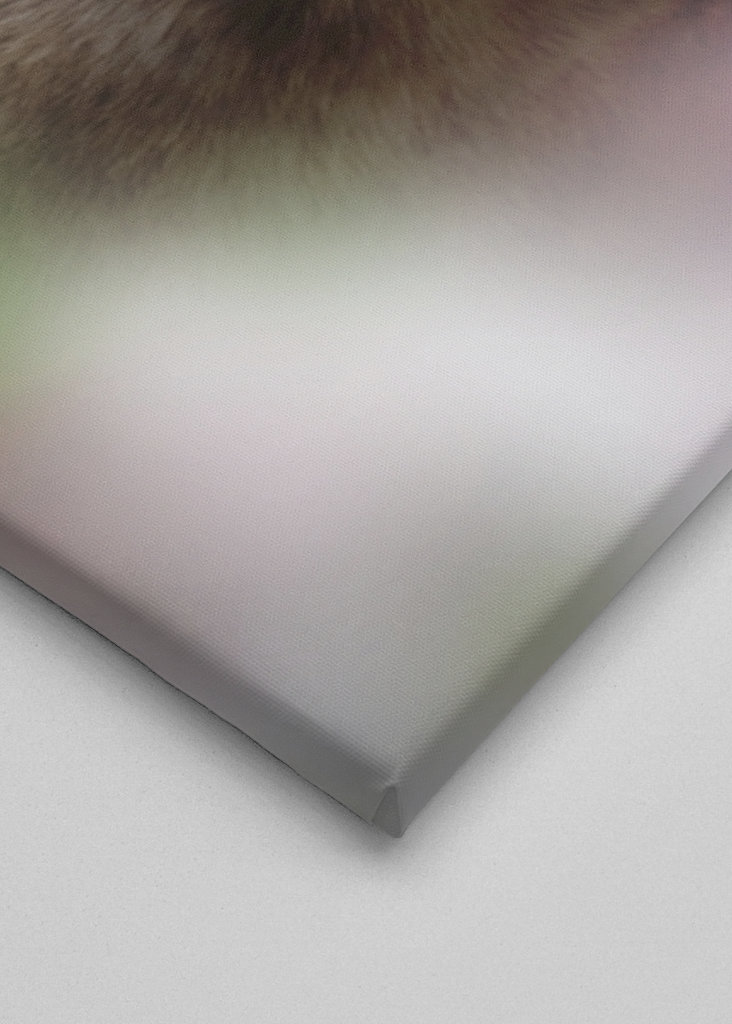 Böser Puma - Bad Cougar