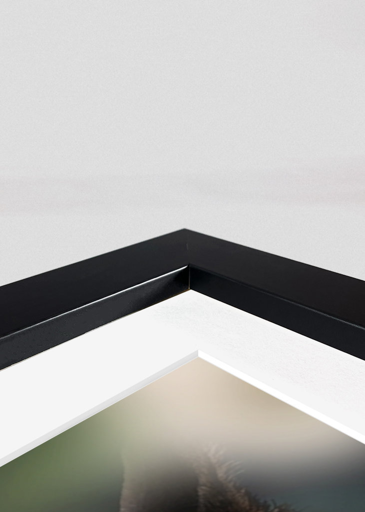 Böser Puma - Bad Cougar