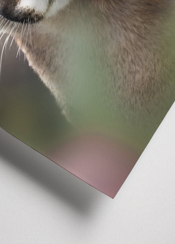 Böser Puma - Bad Cougar