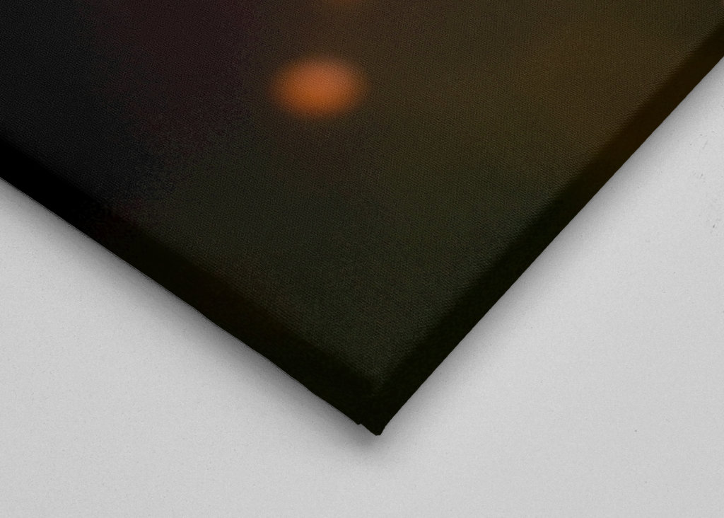 Lila blomma vid solnedgången 