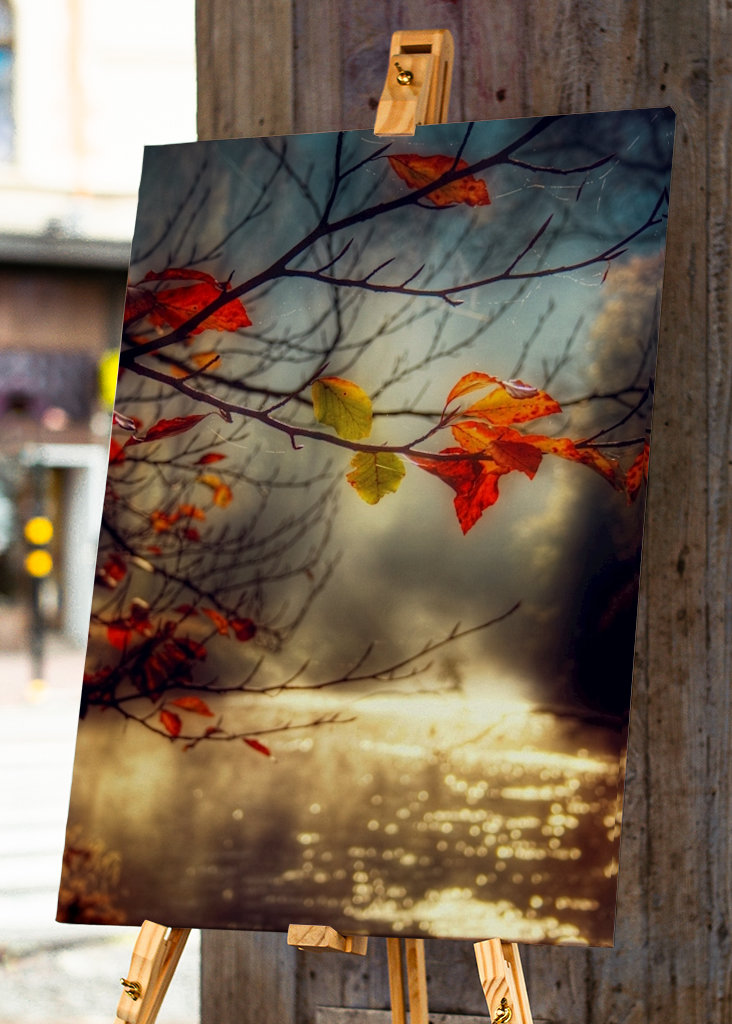 Herbst Am Goldenen Fluss