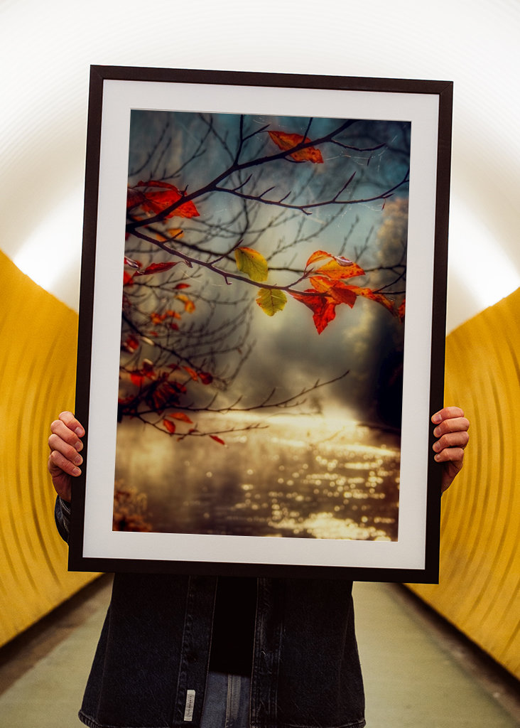 Herbst Am Goldenen Fluss