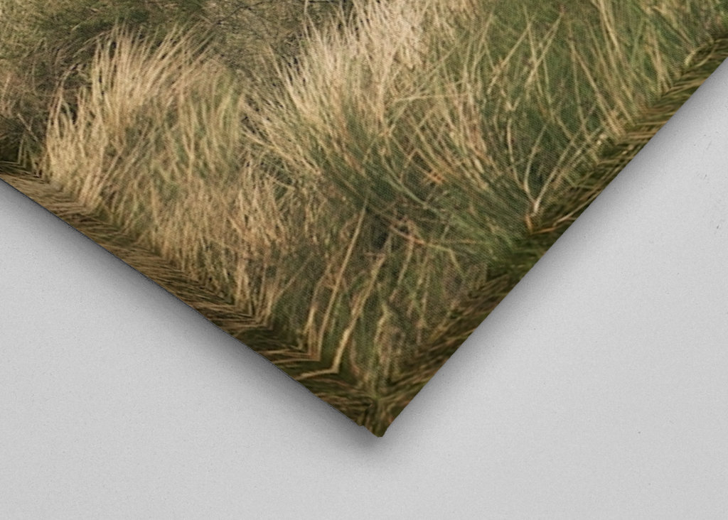 Osamělý dům v dunách