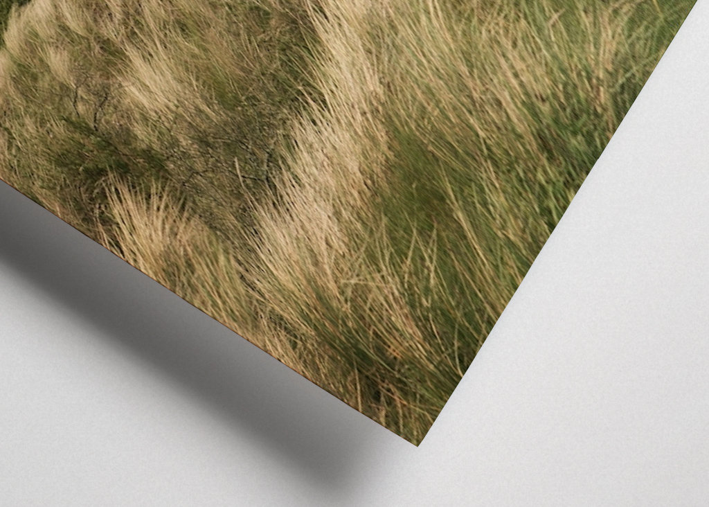 Osamělý dům v dunách