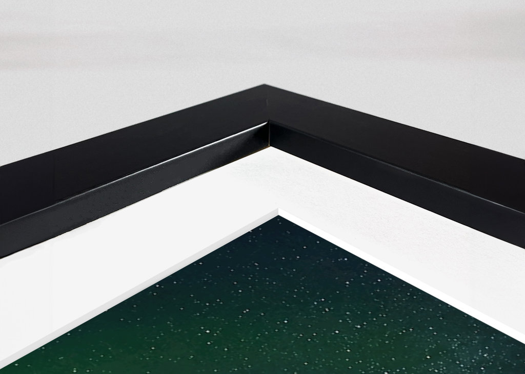 Polarlicht auf den Lofoten