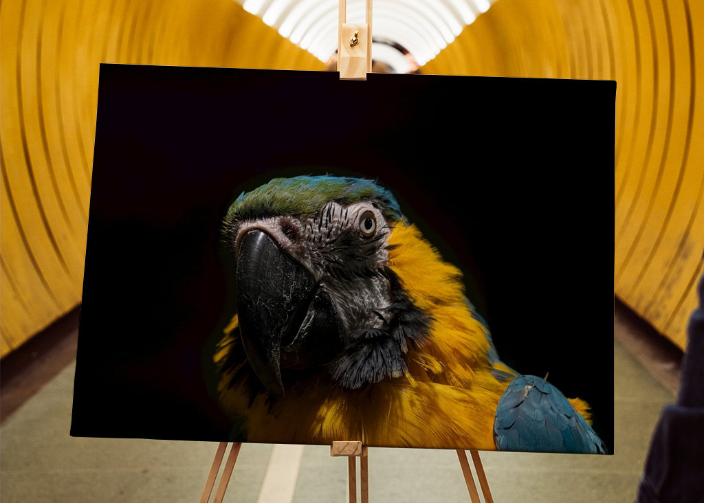 Chwała w ciemności