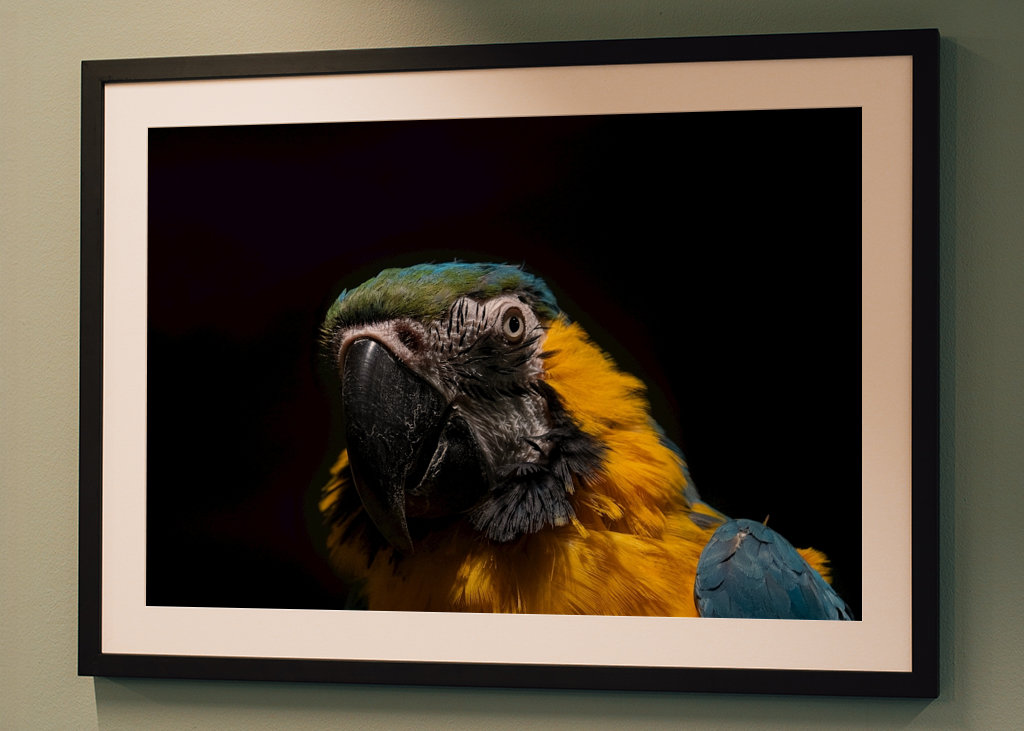 Chwała w ciemności