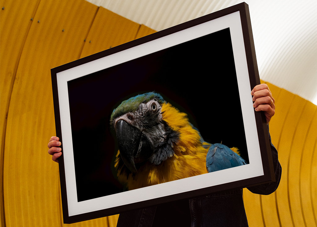 Chwała w ciemności