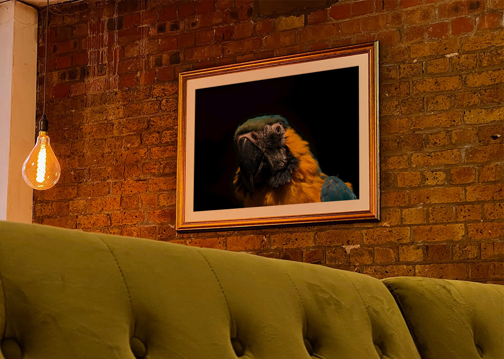 Chwała w ciemności