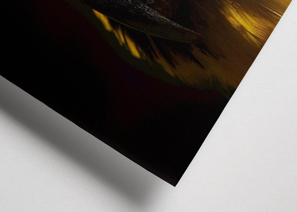 Chwała w ciemności