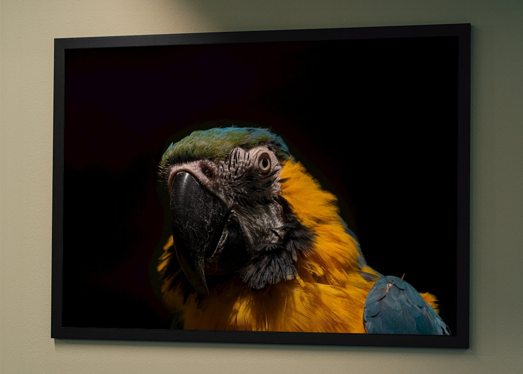 Chwała w ciemności