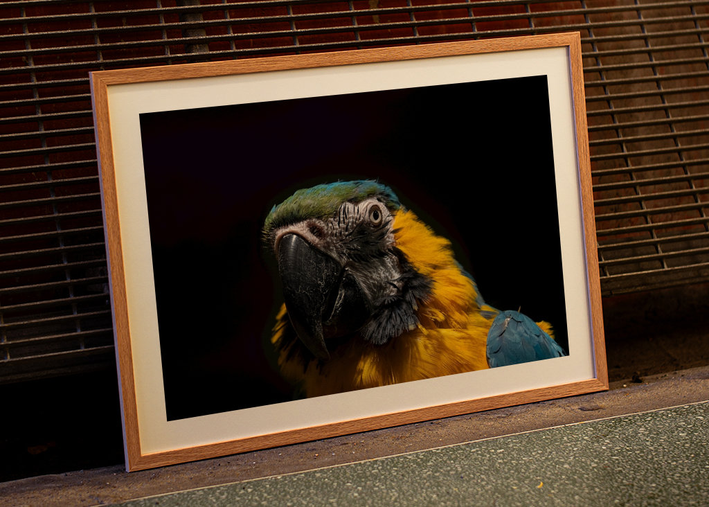 Chwała w ciemności