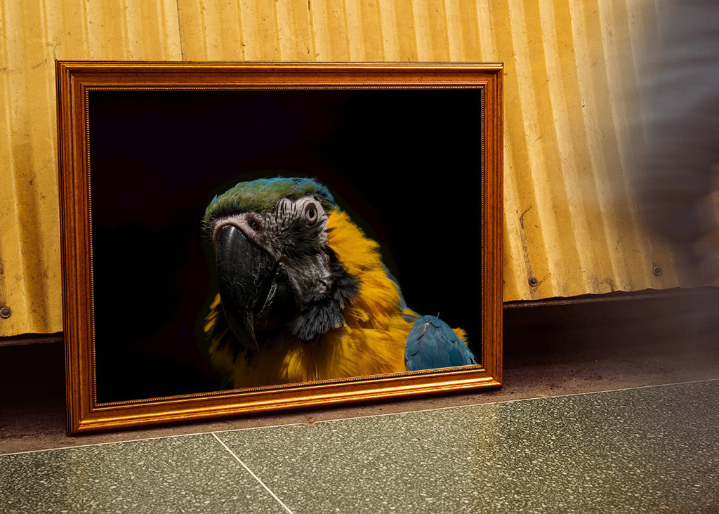 Chwała w ciemności