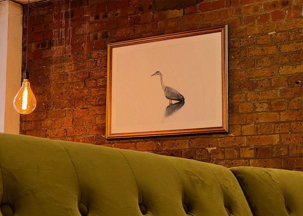 Szürke gém tejes időben