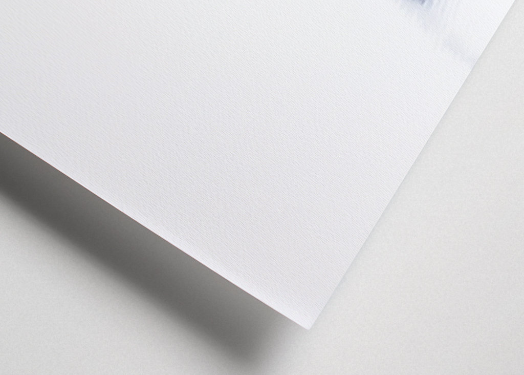 Szürke gém tejes időben